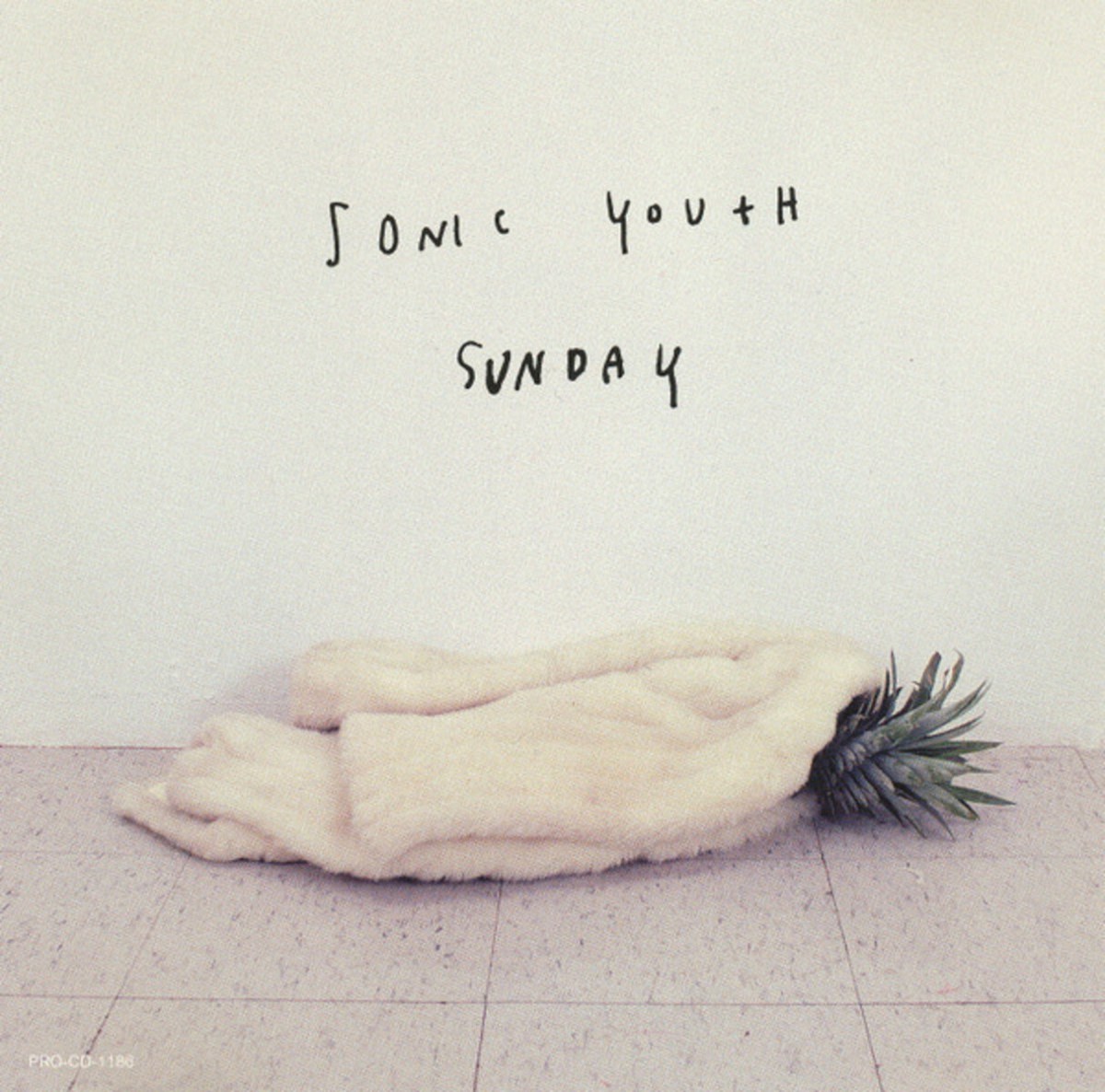 Toasting… Sonic Youth –&nbsp;Sunday