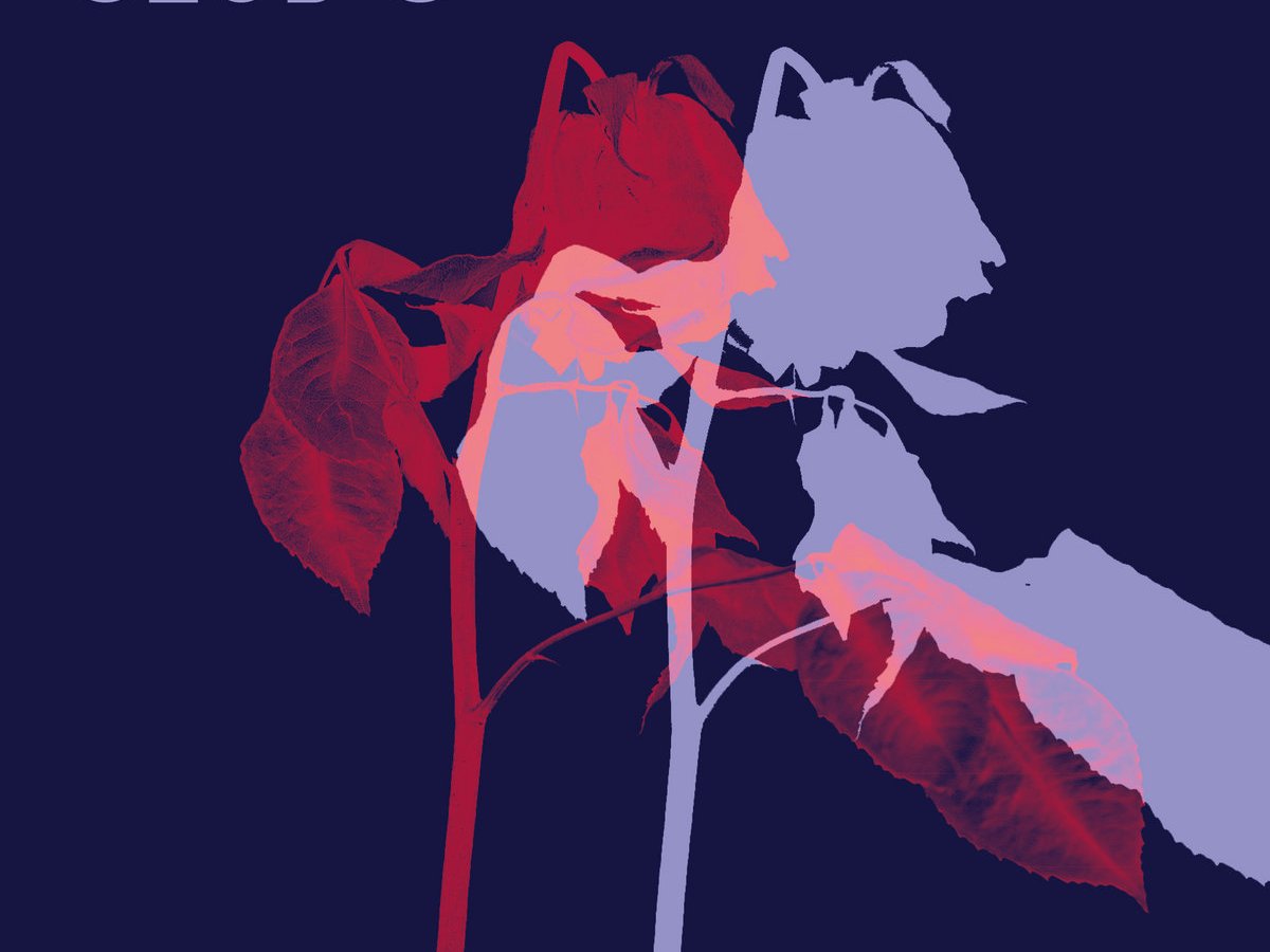 Rolling with… Club 8 – Echoes Of Our&nbsp;Time